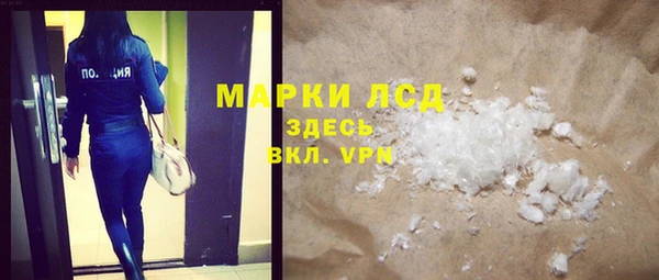 прущие грибы Балахна