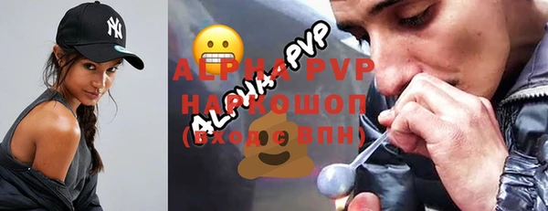 прущие грибы Балахна