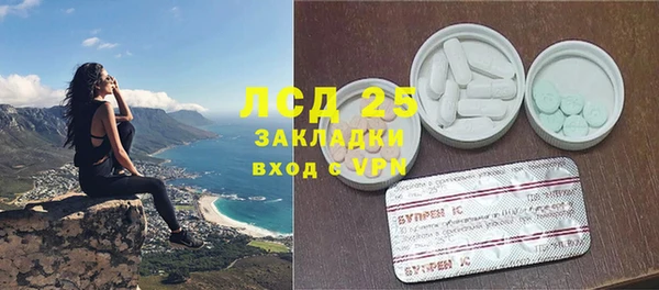 прущие грибы Балахна