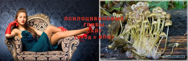 мяу мяу мука Балабаново