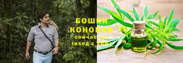 прущие грибы Балахна