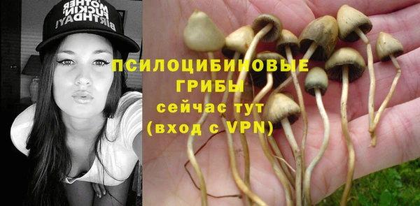 прущие грибы Балахна