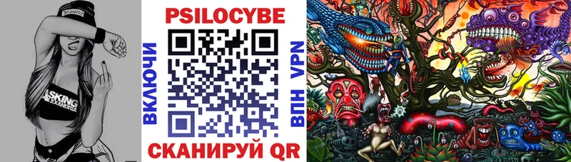 как найти закладки  Билибино  гидра ссылки  Псилоцибиновые грибы Psilocybe 